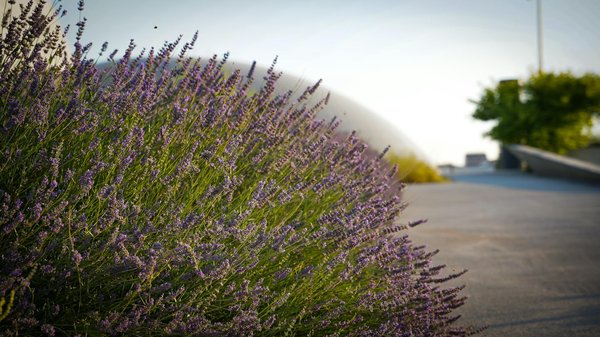 Comment entretenir votre piscine tout au long de l'année ?
