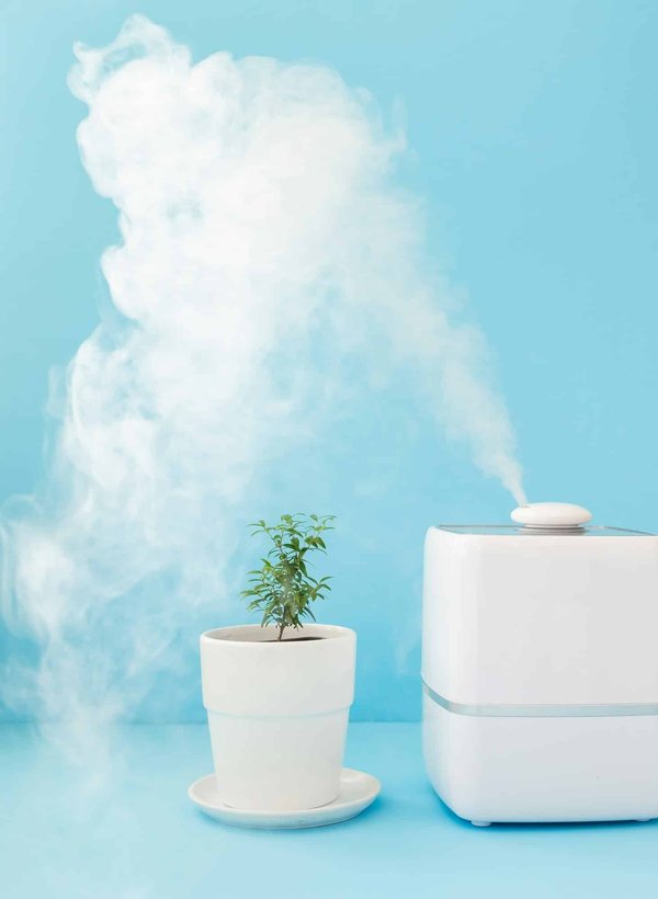 Découvrez les solutions seko humidité pour votre maison