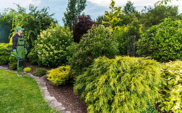 Paysagiste à Ancenis 44150 : métamorphosez votre entourage